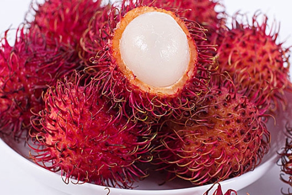 红毛丹的生长习性(红毛丹生长在什么地方)