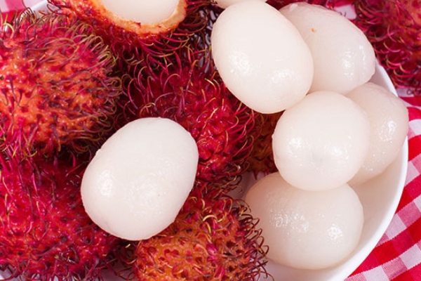 红毛丹小知识(什么是红毛丹)