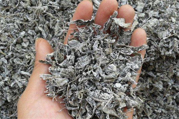 莓茶的功效和作用(莓茶的功效和作用及禁忌有哪些)