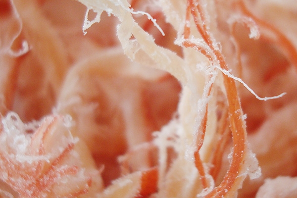 鱿鱼丝的适用人群(鱿鱼丝对女性的作用)