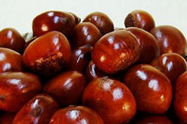 糖炒板栗的禁忌人群(糖炒板栗能不能多吃) 糖炒板栗的禁忌人群(糖炒板栗能不能多吃)