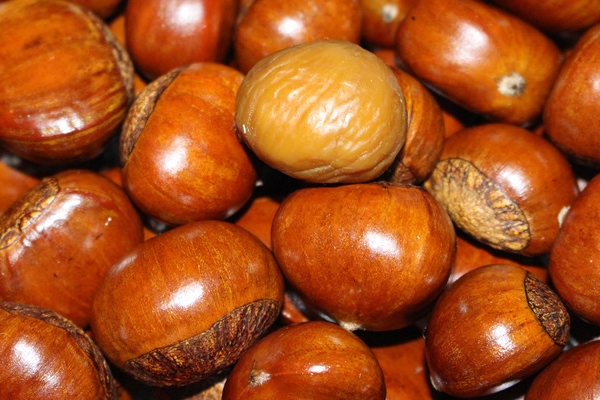 糖炒板栗的热量(糖炒板栗的热量是多少)