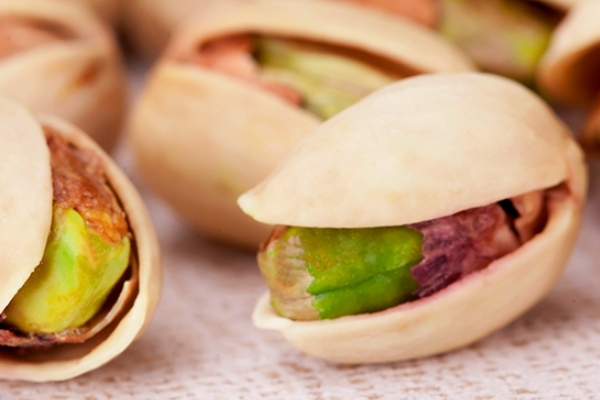 开心果长在什么树上(开心果果树)