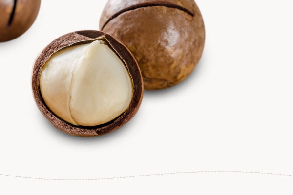 夏威夷果能治糖尿病(糖尿病 夏威夷果) 夏威夷果能治糖尿病(糖尿病 夏威夷果)