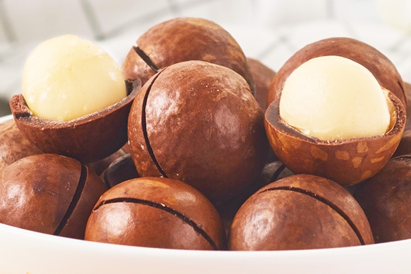 夏威夷果怎么种(夏威夷果怎么种植)