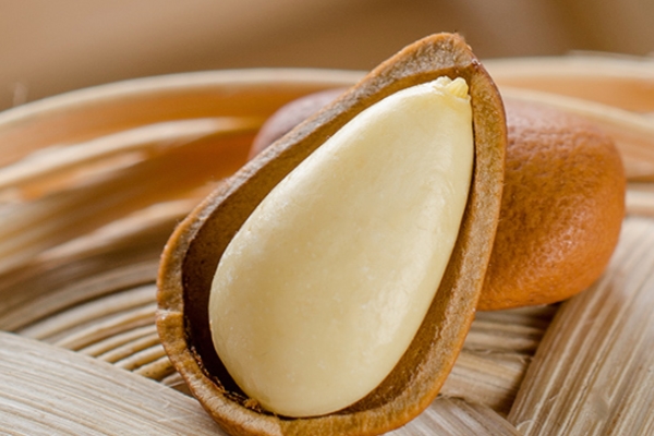 松子吃多了好吗(松子吃多了好吗?)