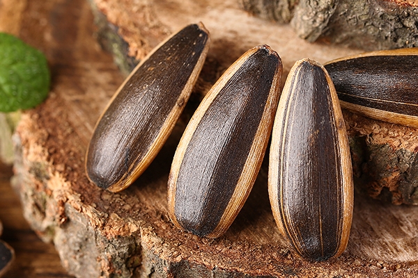 孕妇能吃葵花籽吗(孕妇能吃葵花籽吗对胎儿好吗)