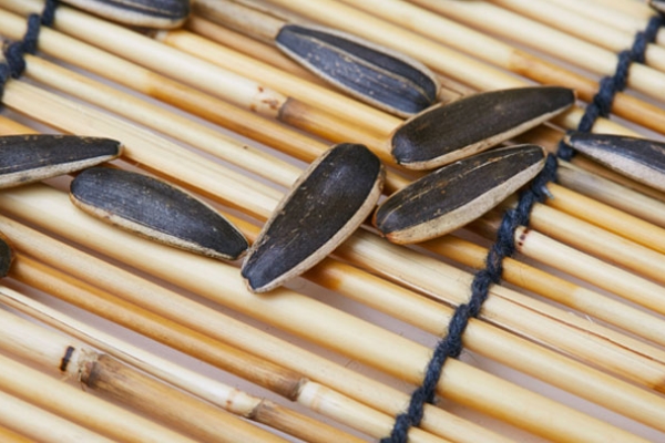 葵花籽是碱性食物吗(葵花籽是碱性食物吗?)