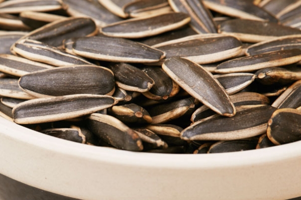 葵花籽的热量(葵花籽的热量是多少)