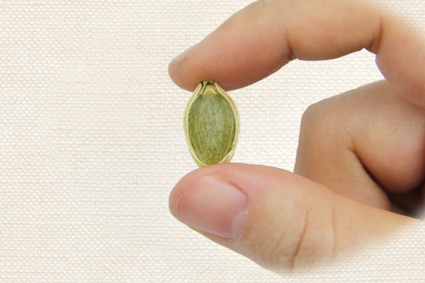 南瓜子的功效(南瓜子的功效和作用及禁忌)