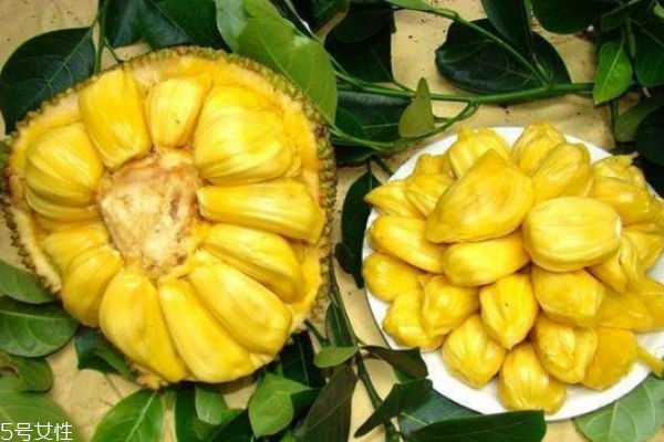吃菠萝蜜有什么好处(吃菠萝蜜有什么好处和功效) 吃菠萝蜜有什么好处(吃菠萝蜜有什么好处和功效)