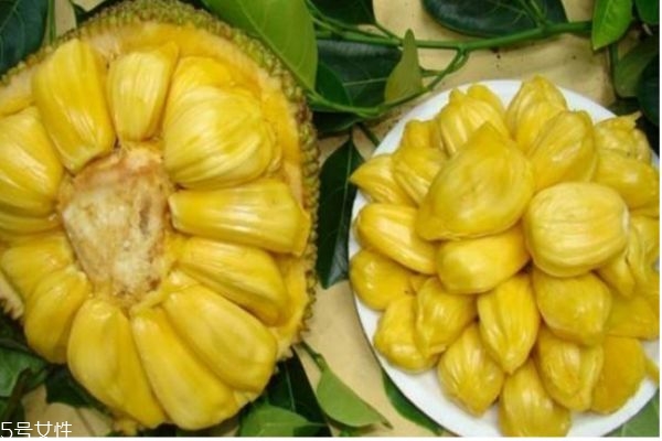 菠萝蜜的核能吃吗(菠萝蜜的核能吃吗?有什么作用)