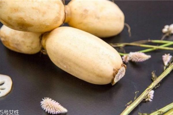 冬天适合吃哪些菜品(冬天适合吃什么菜品) 冬天适合吃哪些菜品(冬天适合吃什么菜品)