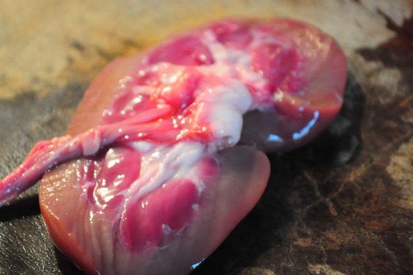 木耳炒猪腰的做法(木耳炒猪腰的做法)