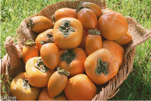 柿子醋怎么喝减肥好(柿子醋怎么喝减肥效果最好)