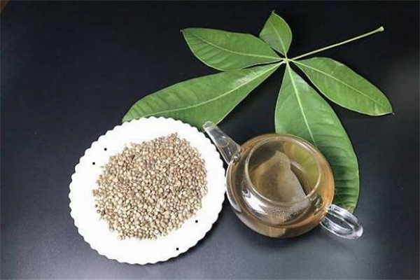 桑葚火麻茶的功效(桑葚火麻茶的功效和作用)