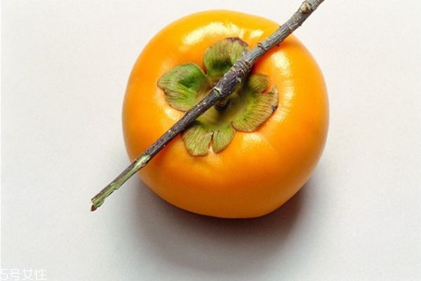 柿子醋是什么(柿子醋是什么颜色的) 柿子醋是什么(柿子醋是什么颜色的)