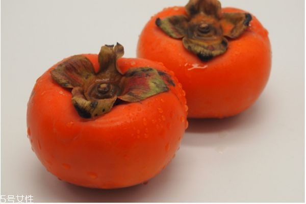 柿子的功效和作用(柿子的功效和作用禁忌) 柿子的功效和作用(柿子的功效和作用禁忌)