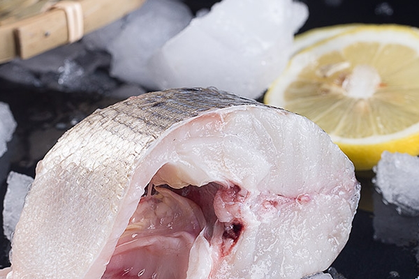 海鲈鱼和淡水鲈鱼的区别(海鲈鱼和淡水鲈鱼的区别哪个好吃)