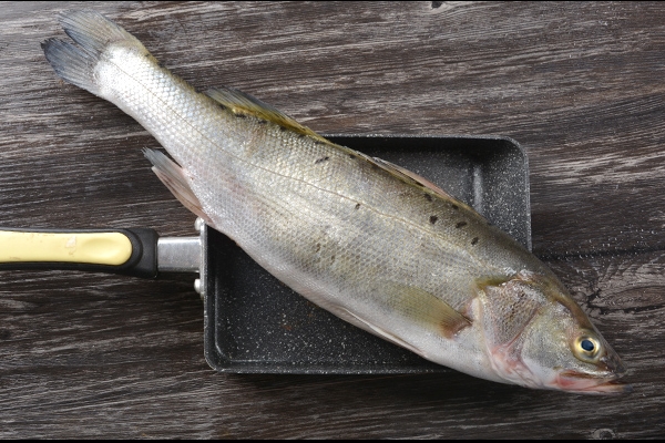 哪些人不能吃海鲈鱼(哪些人不能吃海鲈鱼)