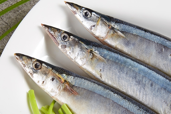 秋刀鱼可以防衰老(秋刀鱼的营养价值及禁忌) 秋刀鱼可以防衰老(秋刀鱼的营养价值及禁忌)