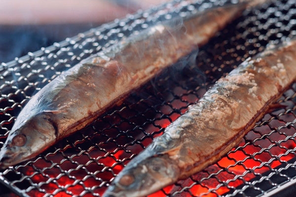 秋刀鱼小知识(什么是秋刀鱼)