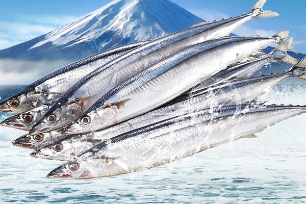 秋刀鱼怎么去内脏(秋刀鱼怎么去内脏视频) 秋刀鱼怎么去内脏(秋刀鱼怎么去内脏视频)