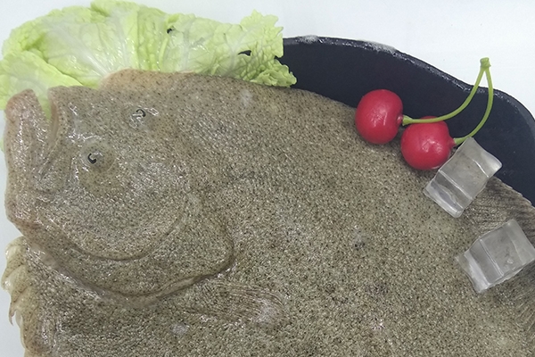 孕妇能吃多宝鱼吗(孕妇能吃多宝鱼吗?)