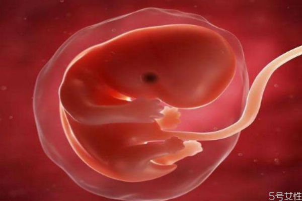 孕初期注意事项是什么(孕初期的注意事项) 孕初期注意事项是什么(孕初期的注意事项)