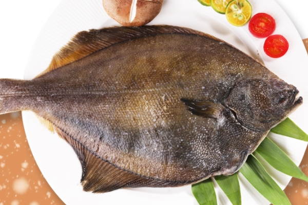 多宝鱼有什么营养(多宝鱼有什么营养和功效) 多宝鱼有什么营养(多宝鱼有什么营养和功效)