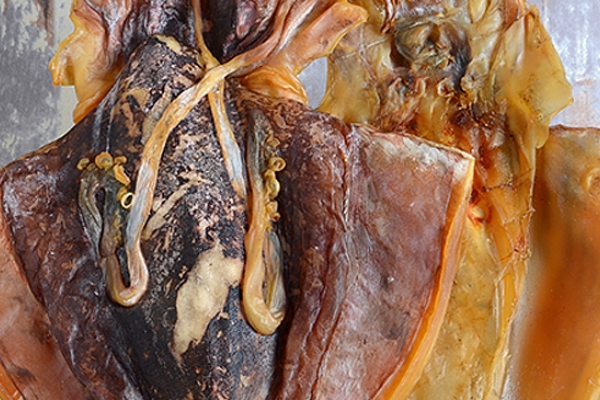 滋补墨鱼干汤的做法(墨鱼干配什么煲汤补血)