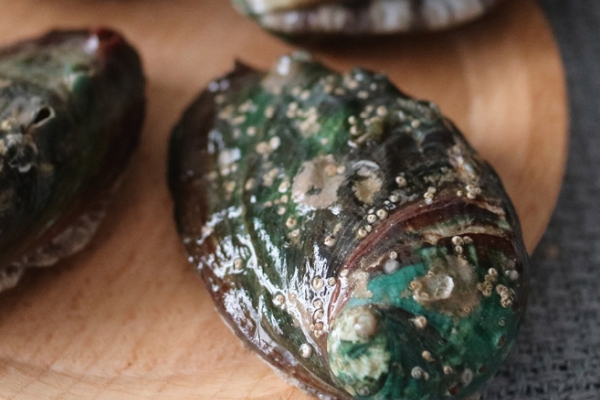 鲍鱼哪些部位不能吃(鲍鱼哪些部位不能吃图)