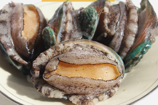 鲍鱼和生蚝的区别(鲍鱼和生蚝的区别是什么?)