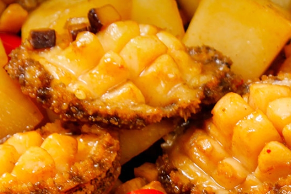 鲍鱼的外形(鲍鱼的外形像什么)