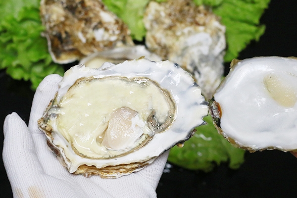 牡蛎生吃的风险(生牡蛎能吃吗) 牡蛎生吃的风险(生牡蛎能吃吗)