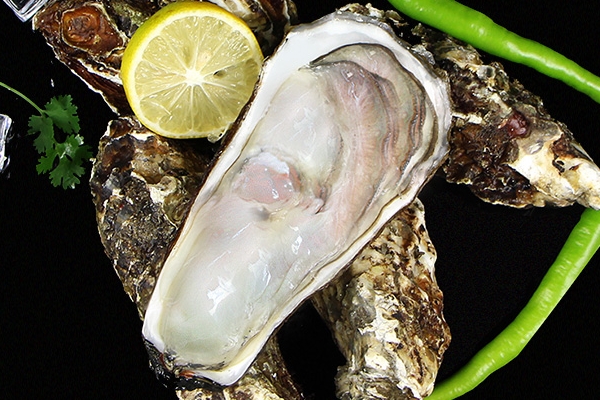 吃生蚝过敏应注意什么(吃生蚝过敏吗)