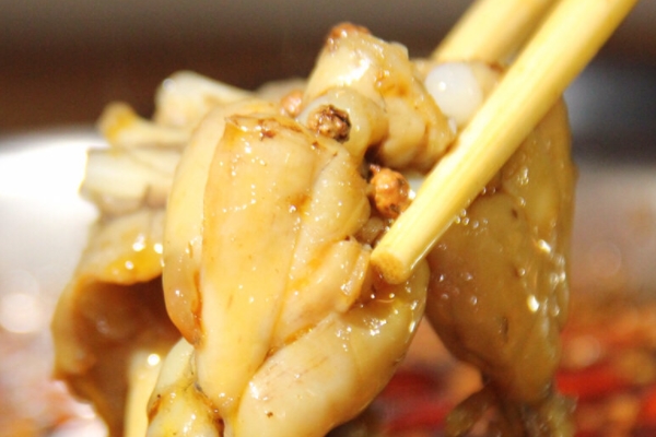 牛蛙的挑选方法(牛蛙怎么挑选)