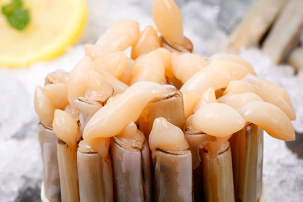 蛏子的鲜用方法(鲜蛏子怎么保存方法)