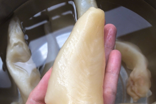 鱼胶的泡发方法(鱼胶的泡发方法最简单)