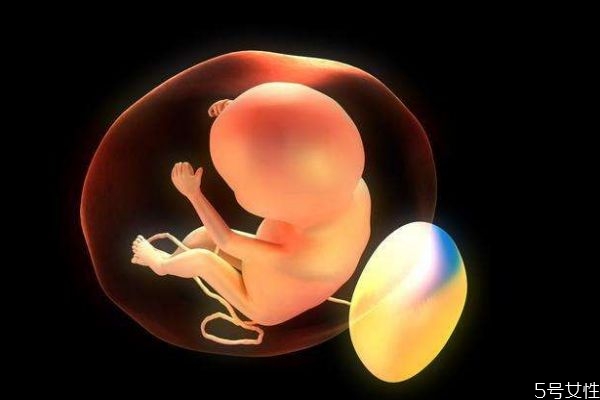 胎儿会打嗝吗(胎儿会打嗝吗什么感觉) 胎儿会打嗝吗(胎儿会打嗝吗什么感觉)