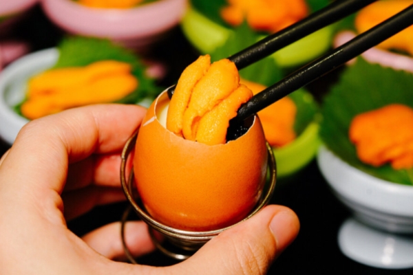 海胆怎么处理(海胆怎么处理干净)