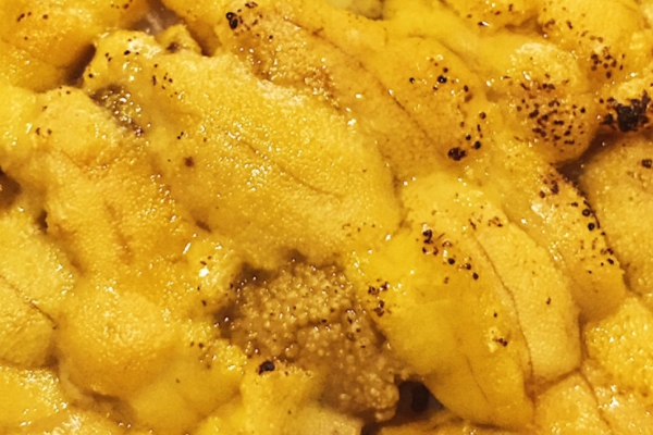 海胆黄芦笋汤的做法(海胆汤的做法)