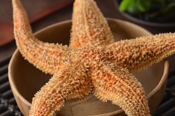 海星汤健脑益智(健脑益智汤处方)