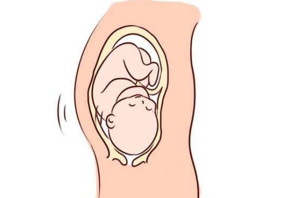 肚里的宝宝一般都是保持什么姿势呢(宝宝在肚子里什么姿势)