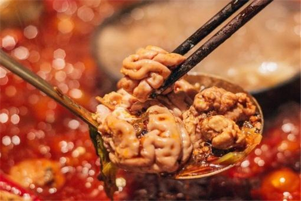 脑花怎么选购(脑花一般在哪里买)