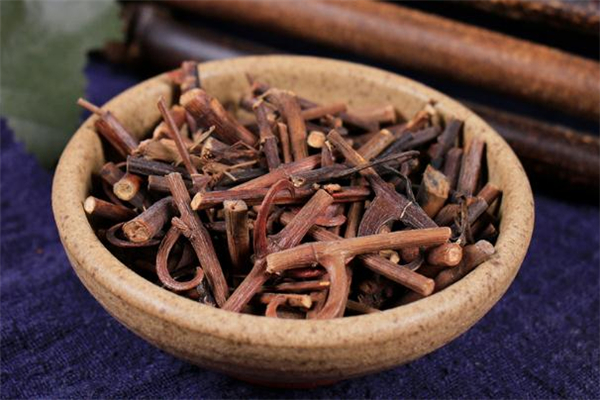 钩藤茶的主要成分(钩藤茶中药组成)