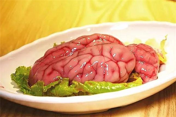 脑花的营养价值(脑花的营养价值和危害)