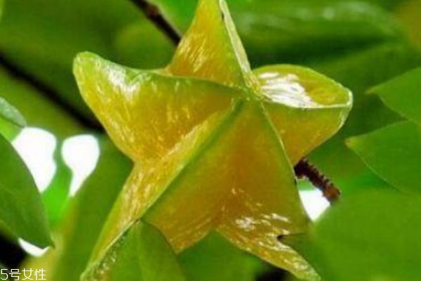 结婚吉日原则(结婚吉日的选择方法)