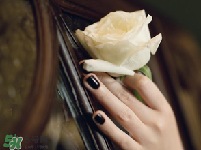 母亲节送什么玫瑰花(母亲节送什么玫瑰花)