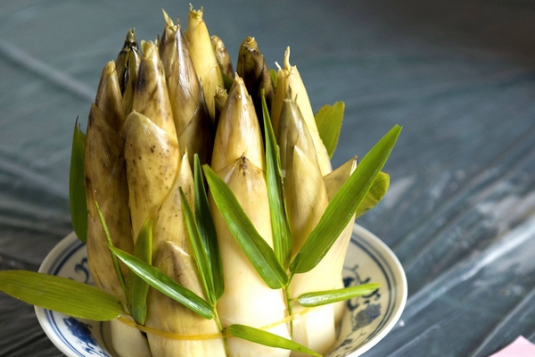 冬笋怎样保存(冬笋怎样保存新鲜)